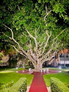 Boca Raton FL 33431
