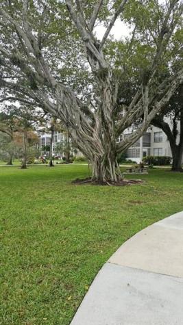4851 NW 26th Court Lauderdale Lakes FL 33313