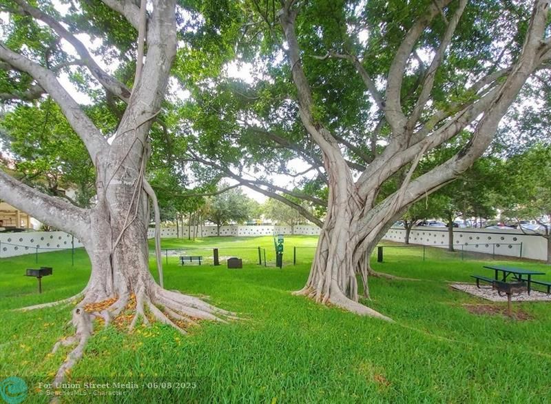 301 Olivewood Place Boca Raton FL 33431