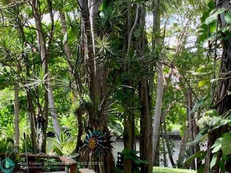 1901 N Andrews Avenue Wilton Manors FL 33311