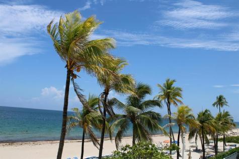 3500 Galt Ocean Drive Fort Lauderdale FL 33308