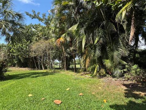 956 Mockingbird Plantation FL 33324