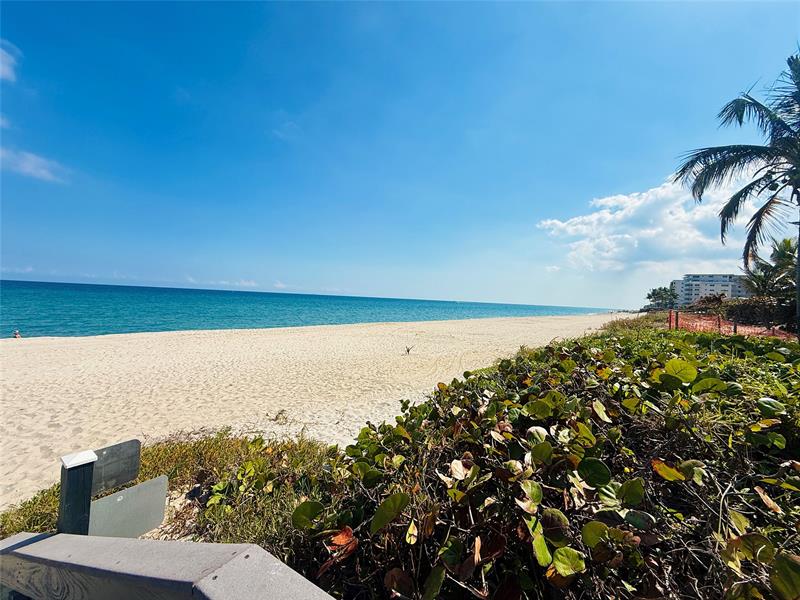 1187 Hillsboro Mile Hillsboro Beach FL 33062