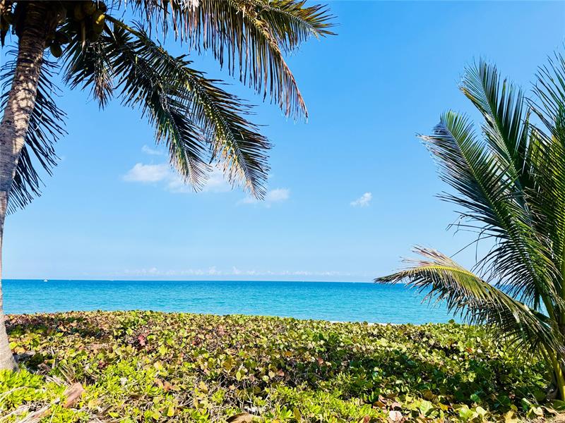 1187 Hillsboro Mile Hillsboro Beach FL 33062