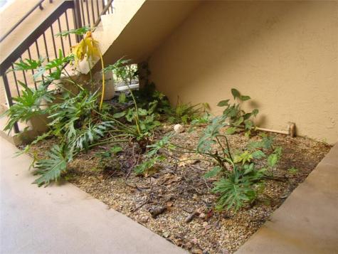 2636 Carambola Circle Coconut Creek FL 33066