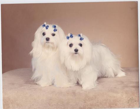 3015 N Ocean Boulevard Fort Lauderdale FL 33308