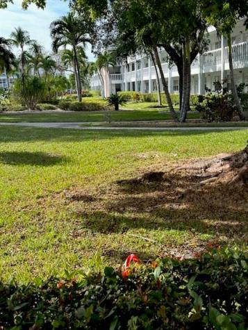 5200 NE 24th Terrace Fort Lauderdale FL 33308