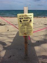 3236 NE 5th Street Pompano Beach FL 33062