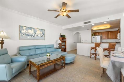 13427 Blue Heron Beach Drive Orlando FL 32821-6302