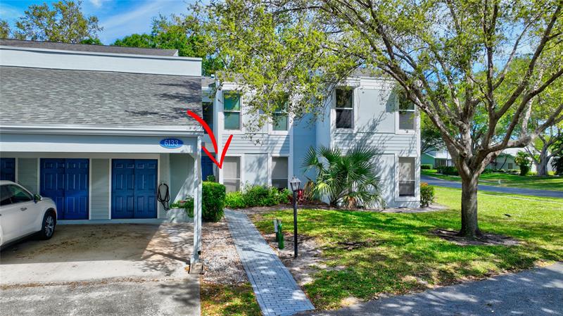 6133 Old Court Road Boca Raton FL 33433