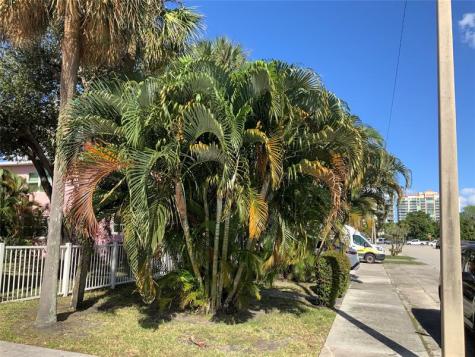 700 Bayshore Drive Fort Lauderdale FL 33304