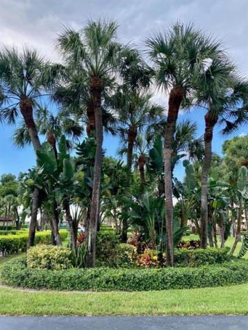 9170 SW 14th Street Boca Raton FL 33428