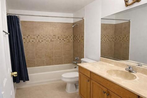 1294 White Pine Drive Wellington FL 33414