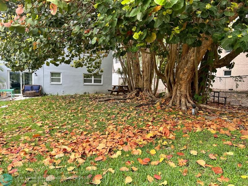 751 Pine Drive Pompano Beach FL 33060