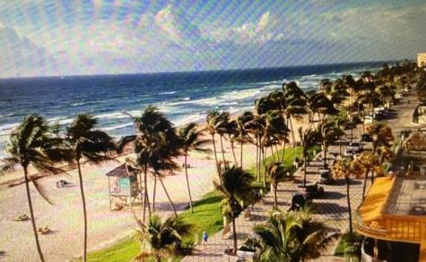 333 NE 21st Avenue Deerfield Beach FL 33441