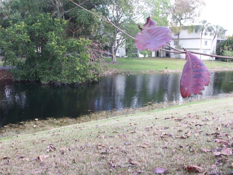 7845 NW 41st Court Sunrise FL 33351