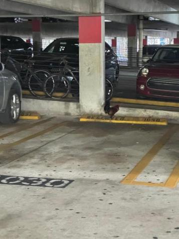 850 N Miami Avenue Miami FL 33136