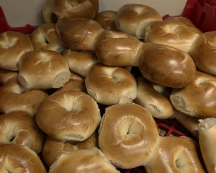 000 Wiles Road Coral Springs FL 33076