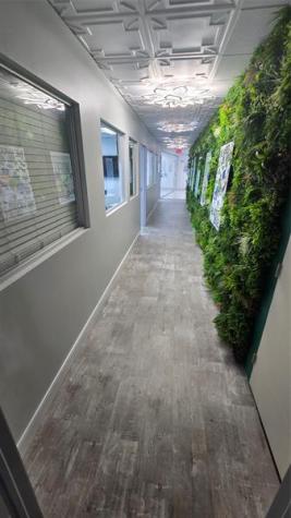 2455 E Sunrise Boulevard Fort Lauderdale FL 33304