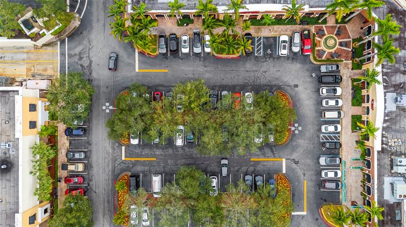 518 N Pine Island Road Plantation FL 33324