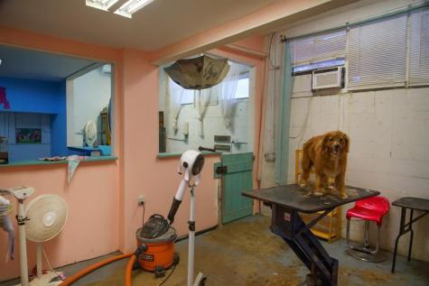 367 NE 3rd Avenue Delray Beach FL 33444