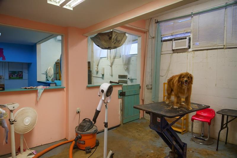 367 NE 3rd Avenue Delray Beach FL 33444