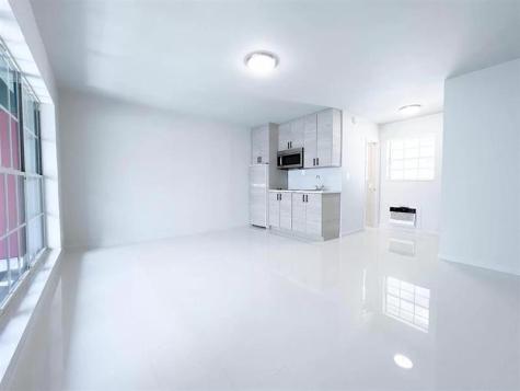 1007 SE 2nd Court #1-8 Fort Lauderdale FL 33301