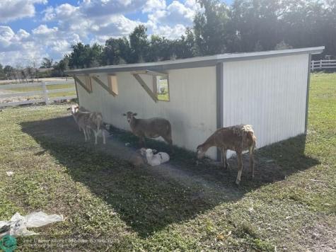 4680 SW 148 Avenue Southwest Ranches FL 33330