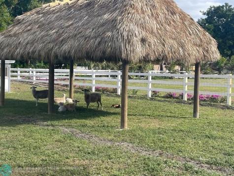 4680 SW 148 Avenue Southwest Ranches FL 33330