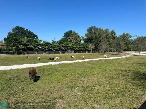 4680 SW 148 Avenue Southwest Ranches FL 33330