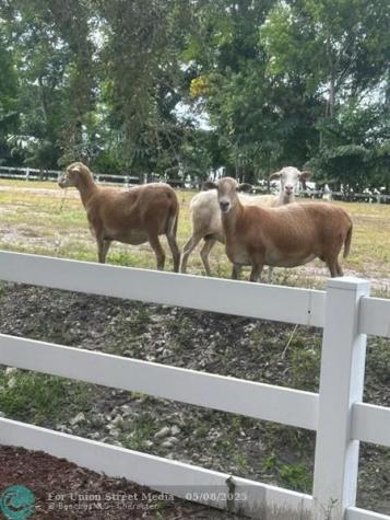 4680 SW 148 Avenue Southwest Ranches FL 33330