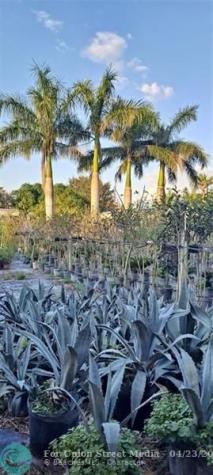 3321 SE 38th Avenue Okeechobee FL 34974