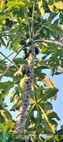 3321 SE 38th Avenue Okeechobee FL 34974