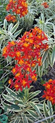 3321 SE 38th Avenue Okeechobee FL 34974