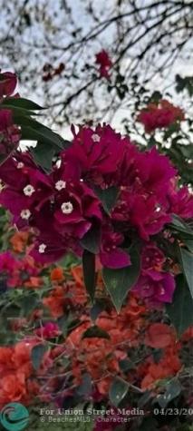 3321 SE 38th Avenue Okeechobee FL 34974