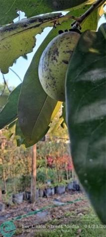 3321 SE 38th Avenue Okeechobee FL 34974