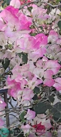 3321 SE 38th Avenue Okeechobee FL 34974