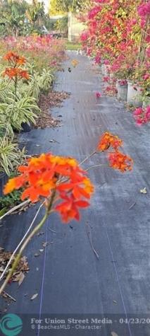 3321 SE 38th Avenue Okeechobee FL 34974