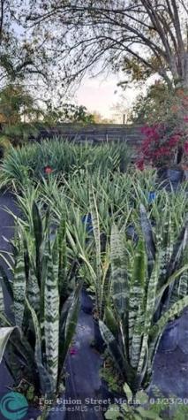 3321 SE 38th Avenue Okeechobee FL 34974