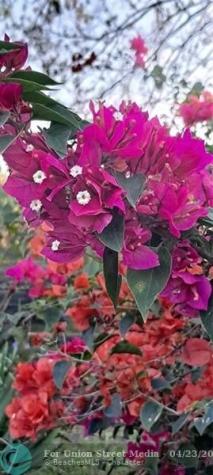 3321 SE 38th Avenue Okeechobee FL 34974