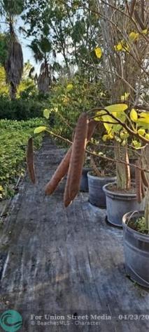 3321 SE 38th Avenue Okeechobee FL 34974