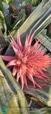 3321 SE 38th Avenue Okeechobee FL 34974