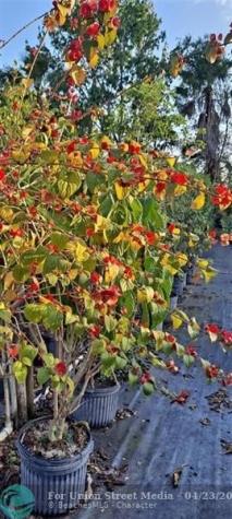 3321 SE 38th Avenue Okeechobee FL 34974