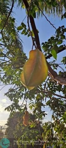 3321 SE 38th Avenue Okeechobee FL 34974