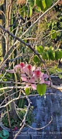 3321 SE 38th Avenue Okeechobee FL 34974