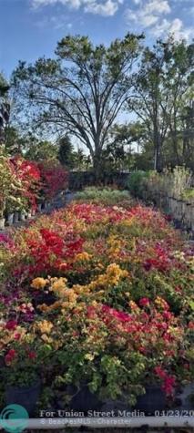 3321 SE 38th Avenue Okeechobee FL 34974