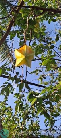 3321 SE 38th Avenue Okeechobee FL 34974