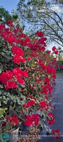 3321 SE 38th Avenue Okeechobee FL 34974