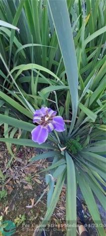 3321 SE 38th Avenue Okeechobee FL 34974