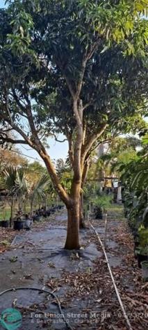 3321 SE 38th Avenue Okeechobee FL 34974